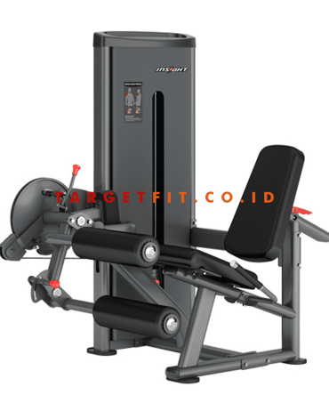 Insight Leg Curl and Extension DA025