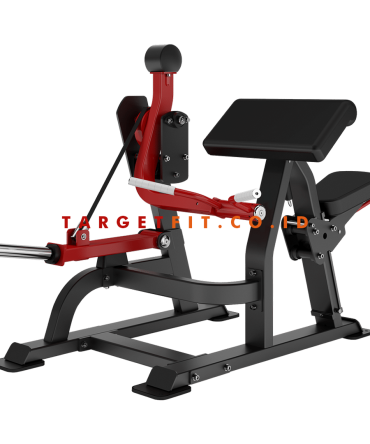 Insight Biceps Curl DH021