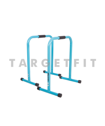 Parallettes Livepro / Dip Bar / Lebert Equalizer