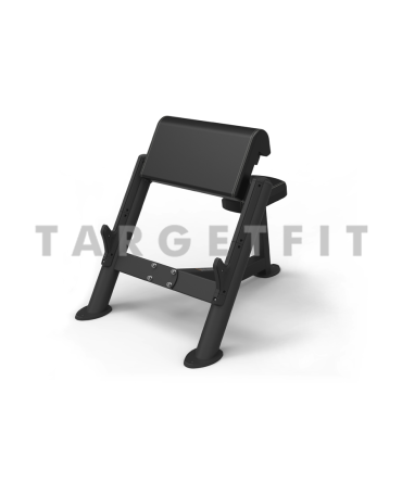 Preacher Curl Spirit SP-4206