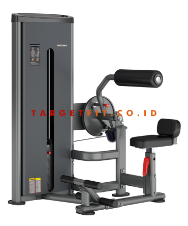 Insight Abdominal and Back Extension DA009