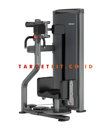 Insight Rotary Torso DA010