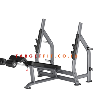 Insight Decline Olympic Bench DR006