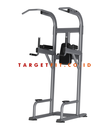 Insight Vertical Knee Raise and Dip DR008