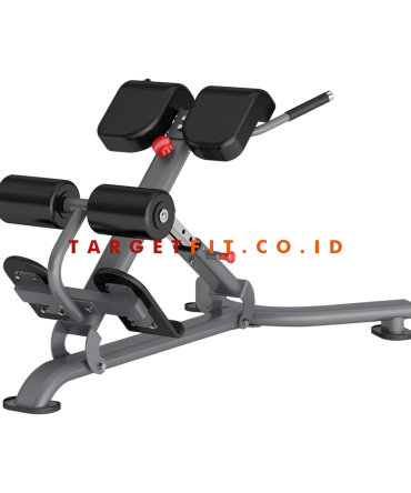 Insight Back Extension DR010