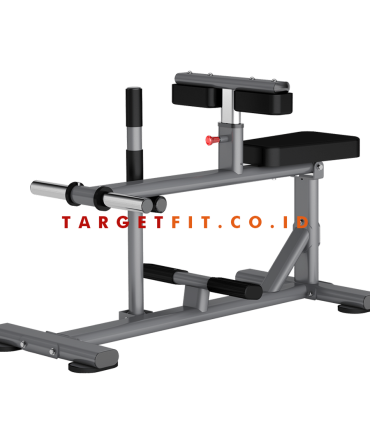 Insight Seated Calf Raise DR011