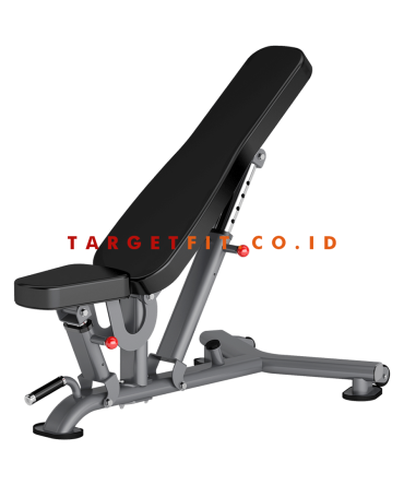 Insight Multi Adjustable Bench DR016