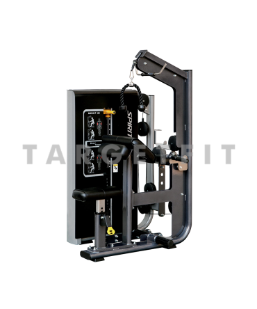 Dual Functional Biceps/Triceps Spirit DWS-117