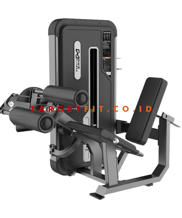 DHZ Leg Extension and Leg Curl Machine E3086